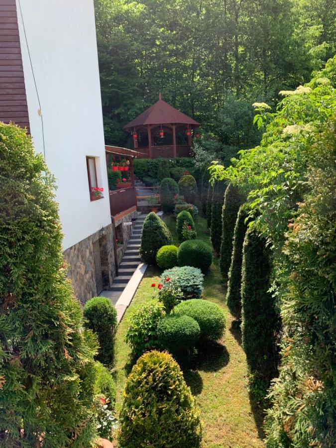 Pensiunea Eva Bed & Breakfast Совата Екстериор снимка