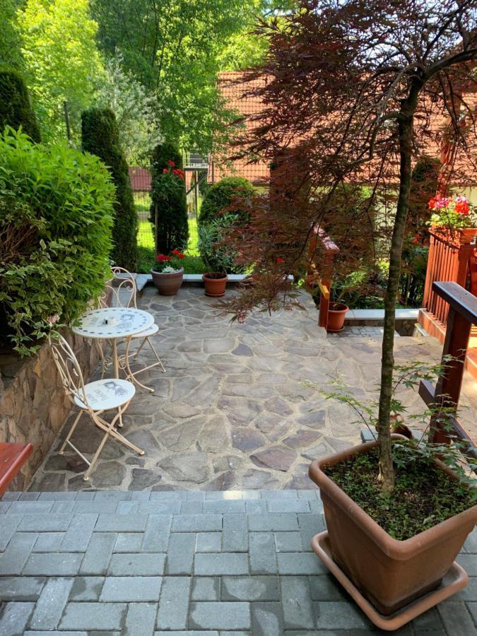 Pensiunea Eva Bed & Breakfast Совата Екстериор снимка