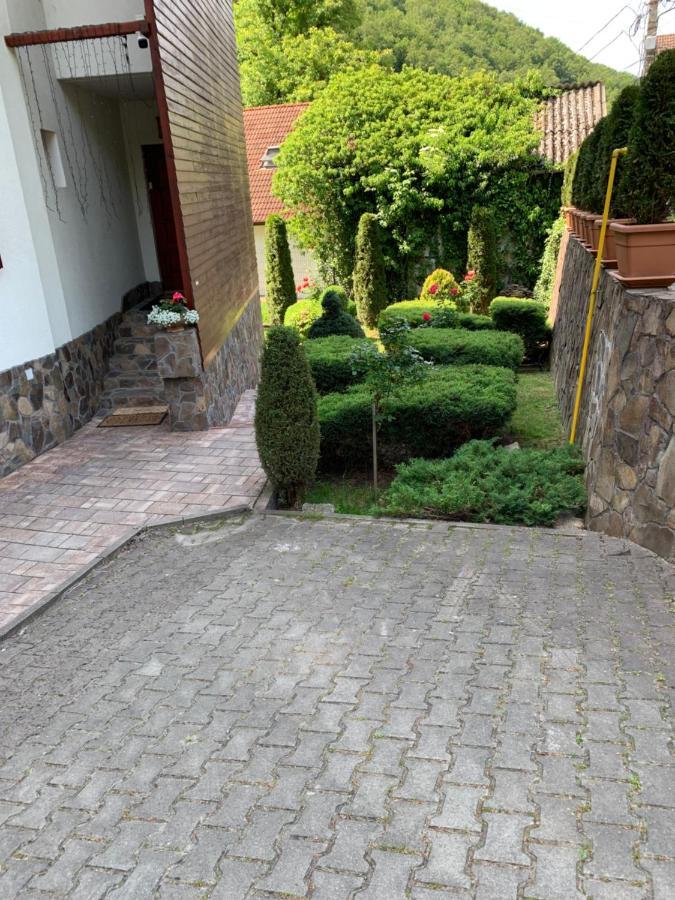 Pensiunea Eva Bed & Breakfast Совата Екстериор снимка