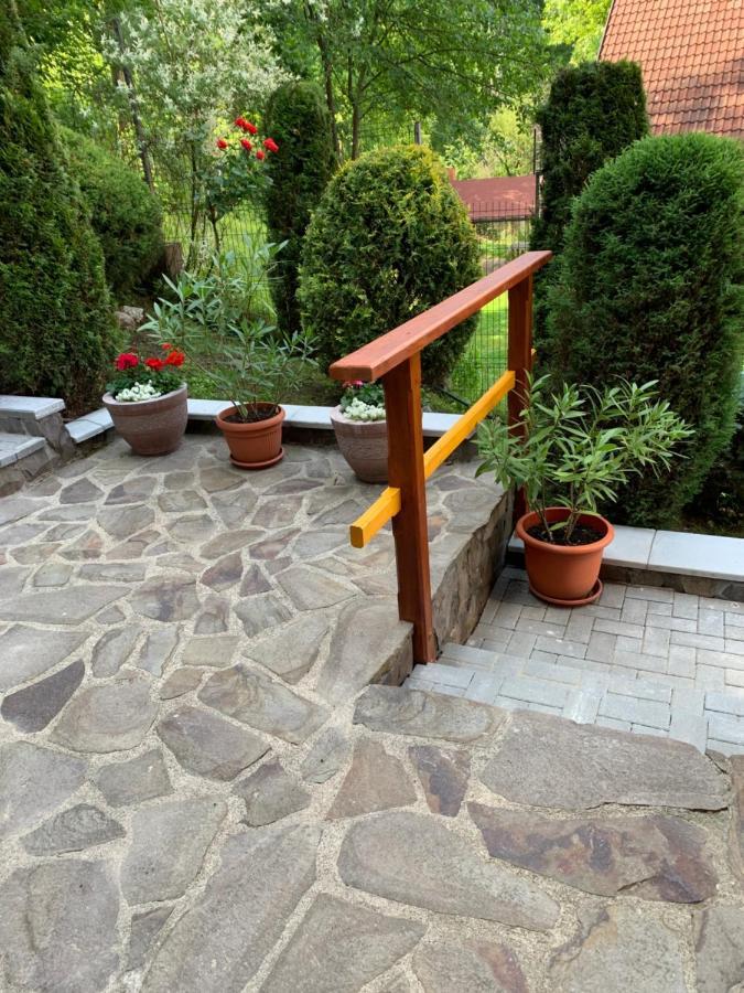 Pensiunea Eva Bed & Breakfast Совата Екстериор снимка