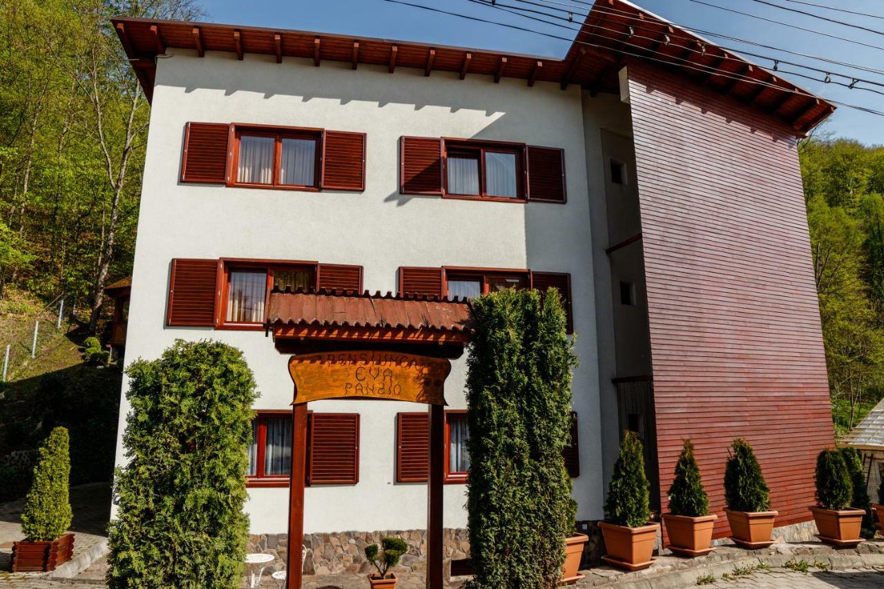 Pensiunea Eva Bed & Breakfast Совата Екстериор снимка