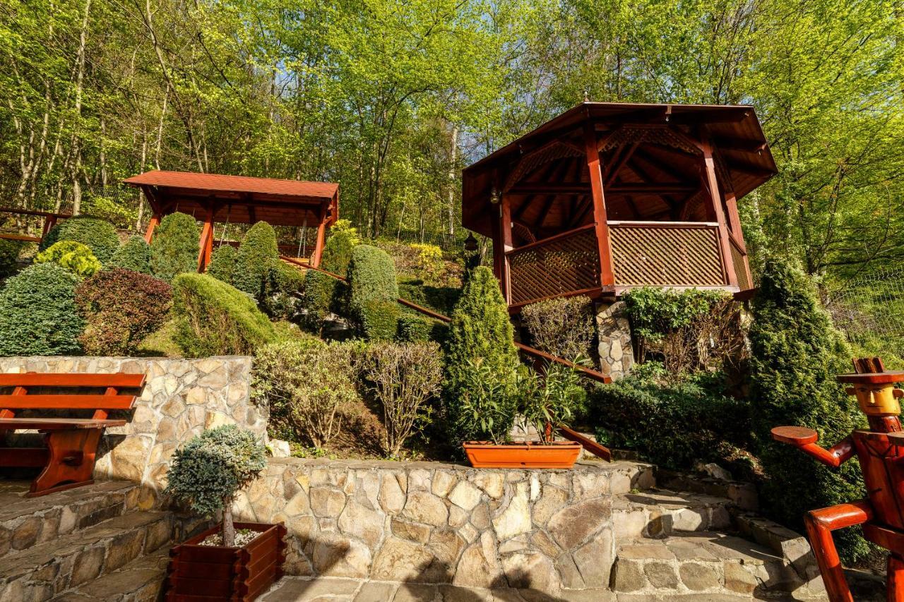 Pensiunea Eva Bed & Breakfast Совата Екстериор снимка