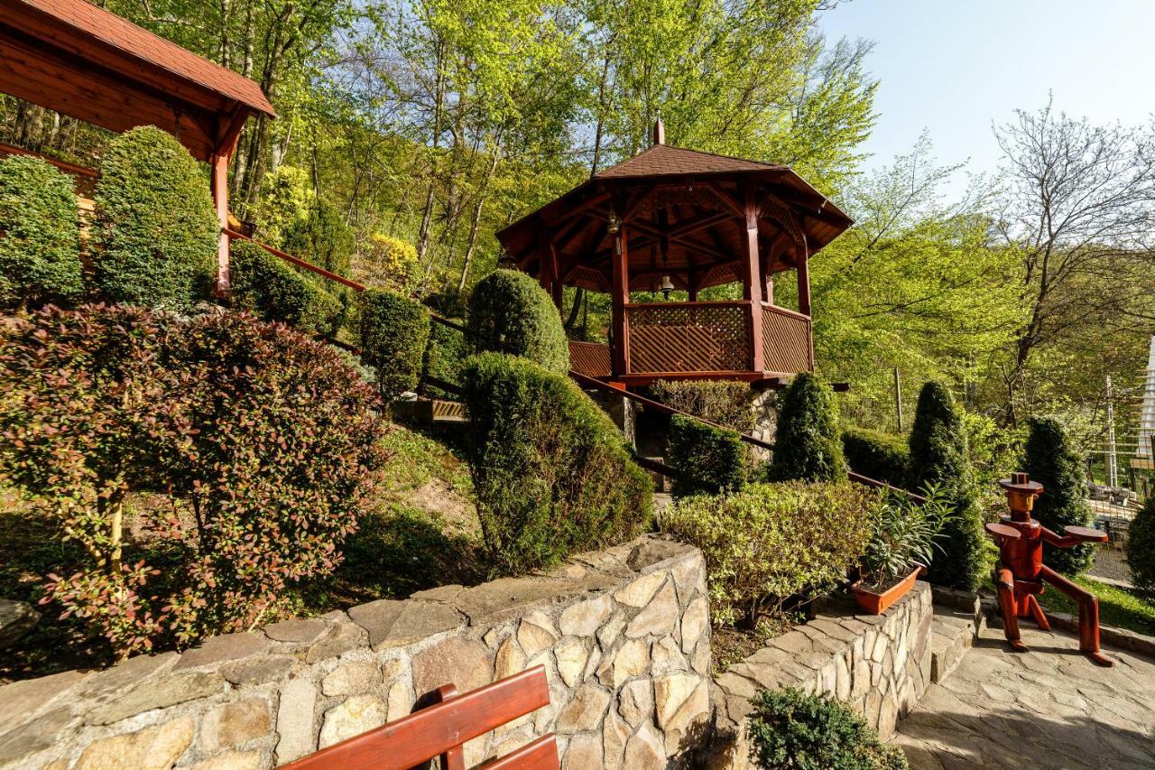 Pensiunea Eva Bed & Breakfast Совата Екстериор снимка