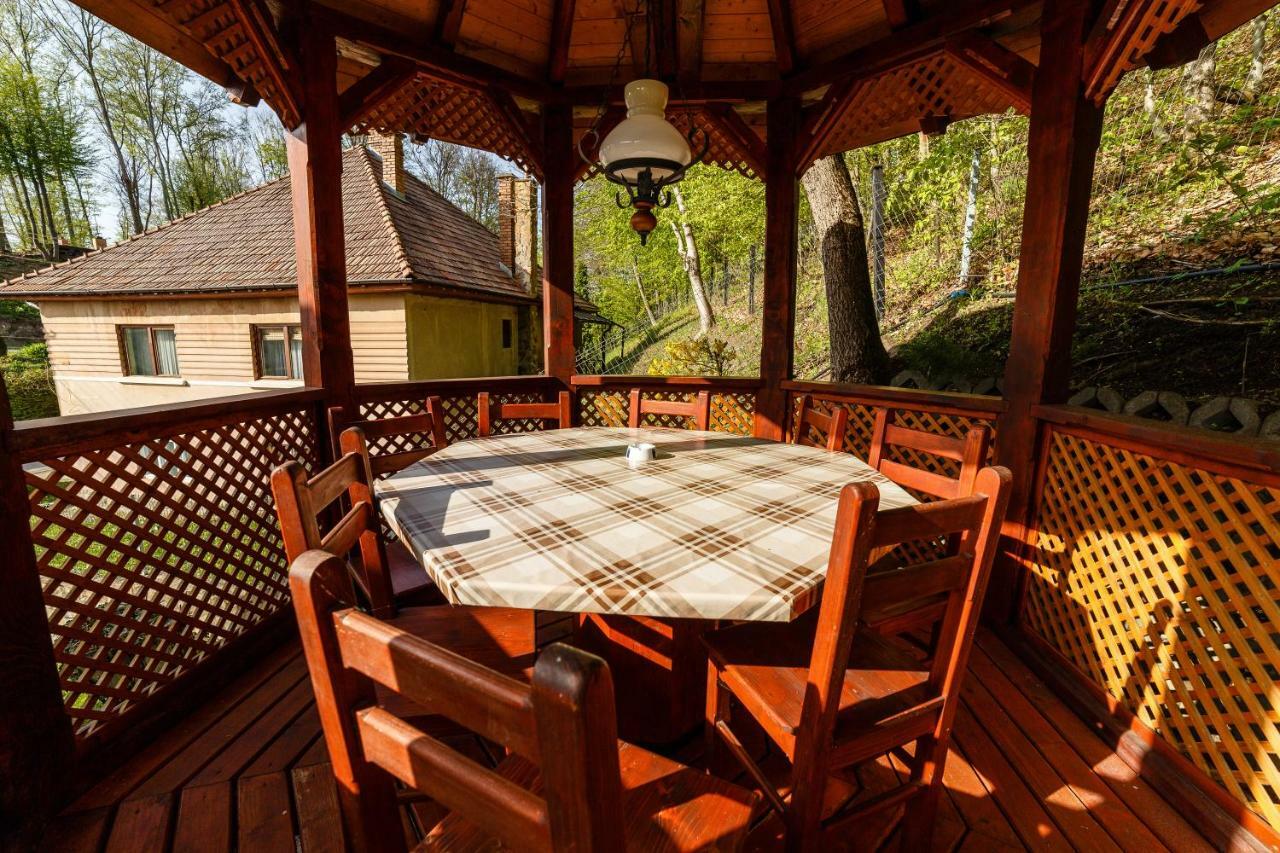 Pensiunea Eva Bed & Breakfast Совата Екстериор снимка