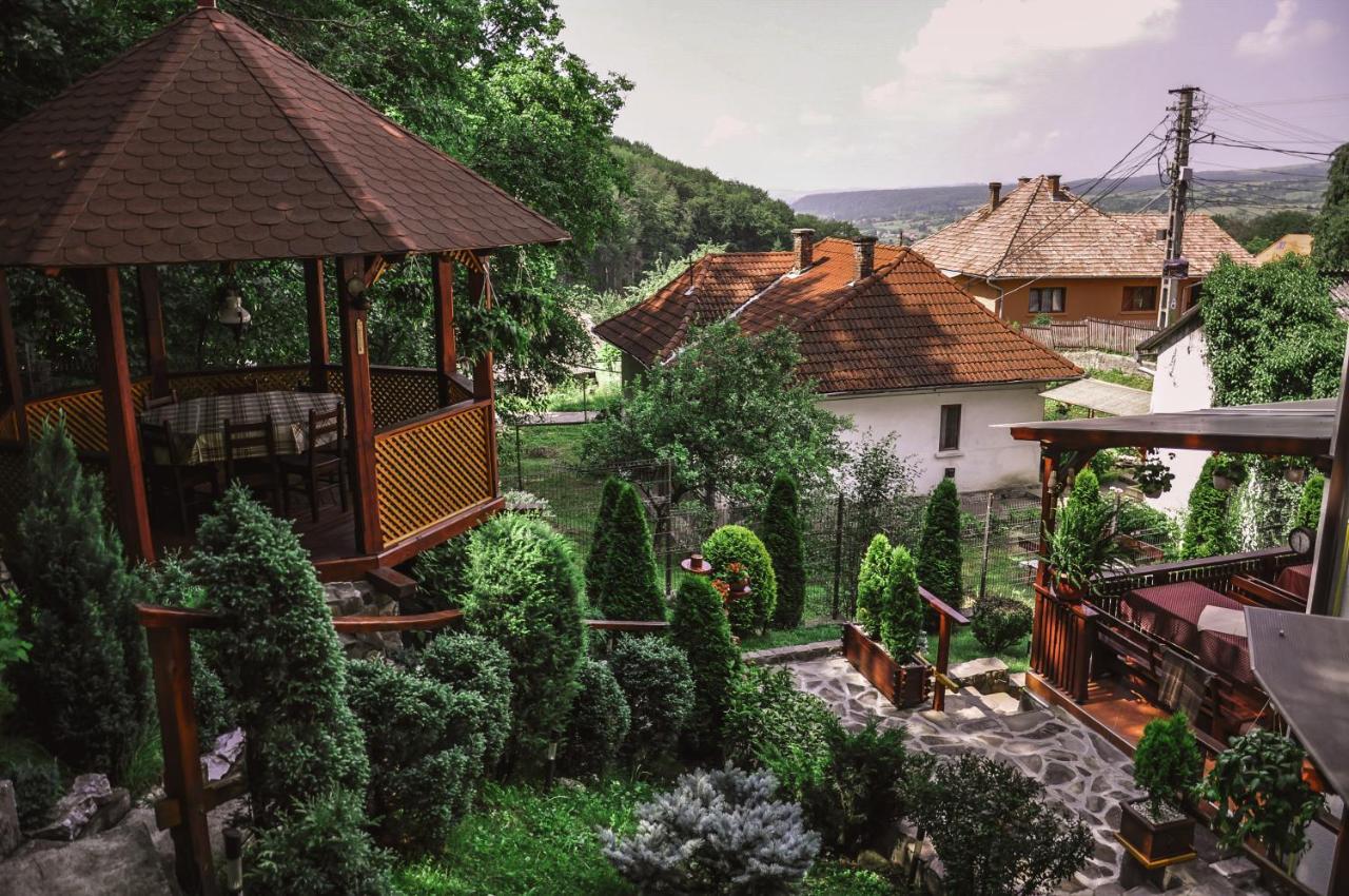 Pensiunea Eva Bed & Breakfast Совата Екстериор снимка